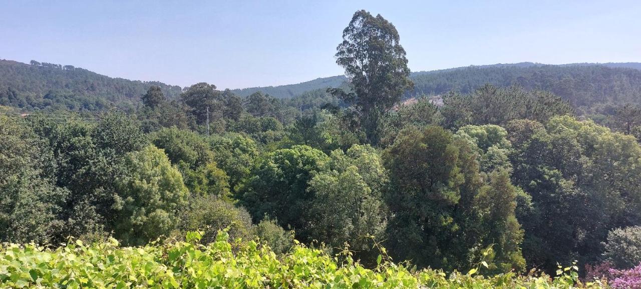 Green Paradise Glamping Covas  Exterior foto